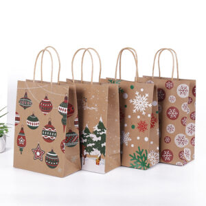 Eco Printed Paper Gift Bags with Reinforced Rope Handles