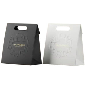 Custom Retail Paper Bag for Fashion Stores